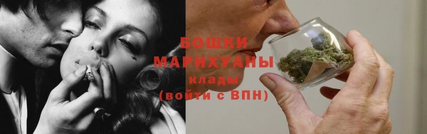 прущие грибы Богданович