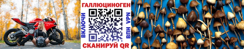 Псилоцибиновые грибы MAGIC MUSHROOMS  Электросталь 